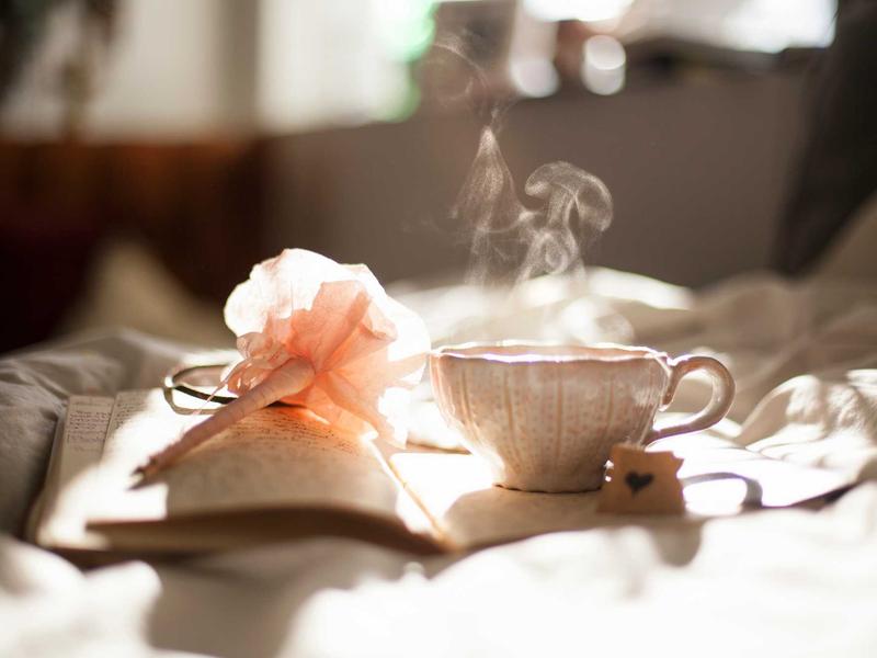小王子<br>qyn4ntkw.cn 玫瑰与狐狸
